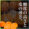 皮うすで食べやすい！愛媛の宝物 甘平  訳あり家庭用