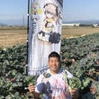 諸井智貴