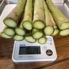 【今が旬!!】信州安曇野産アスパラガス【極太2L以上】