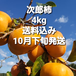 三重県産前川次郎柿4キロ入り約16個～18個