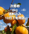 三重県産前川次郎柿4キロ入り約16個～18個