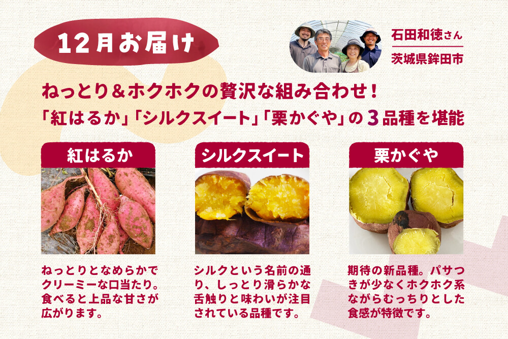 栗かぐや　YUさん専用 YUさん専用栗かぐや10kg 栗かぐや® | カネコ種苗株式会社 | 未来