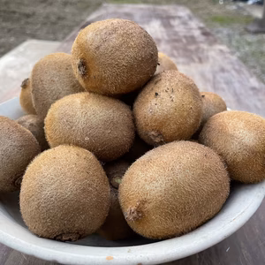 やわやわに柔らかなのでジャムなどに！キウイフルーツ