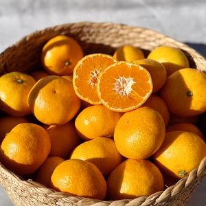 【期間限定】当園人気No.1【権兵衛みかん10kg】