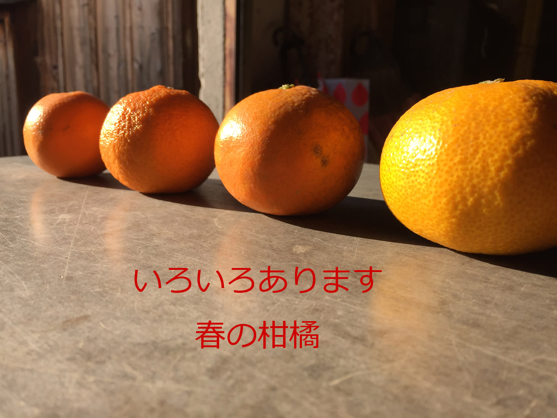 食べ比べ 八朔 いよかん はるみ 不知火 3kg 農家漁師から産地直送の通販 ポケットマルシェ