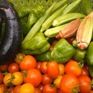 【無農薬】トマト、ピーマン、オクラ、ナスのセット【無化学肥料】