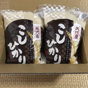 新潟県矢代産コシヒカリ 新鮮！窒素置換パック 令和5年産 1等米 5キロ詰