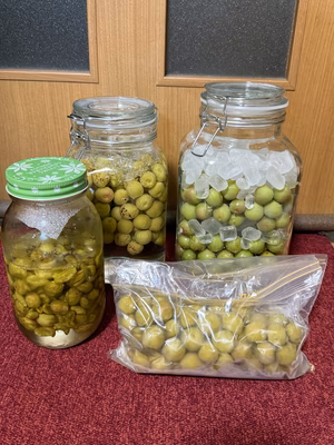 みんなの投稿の画像