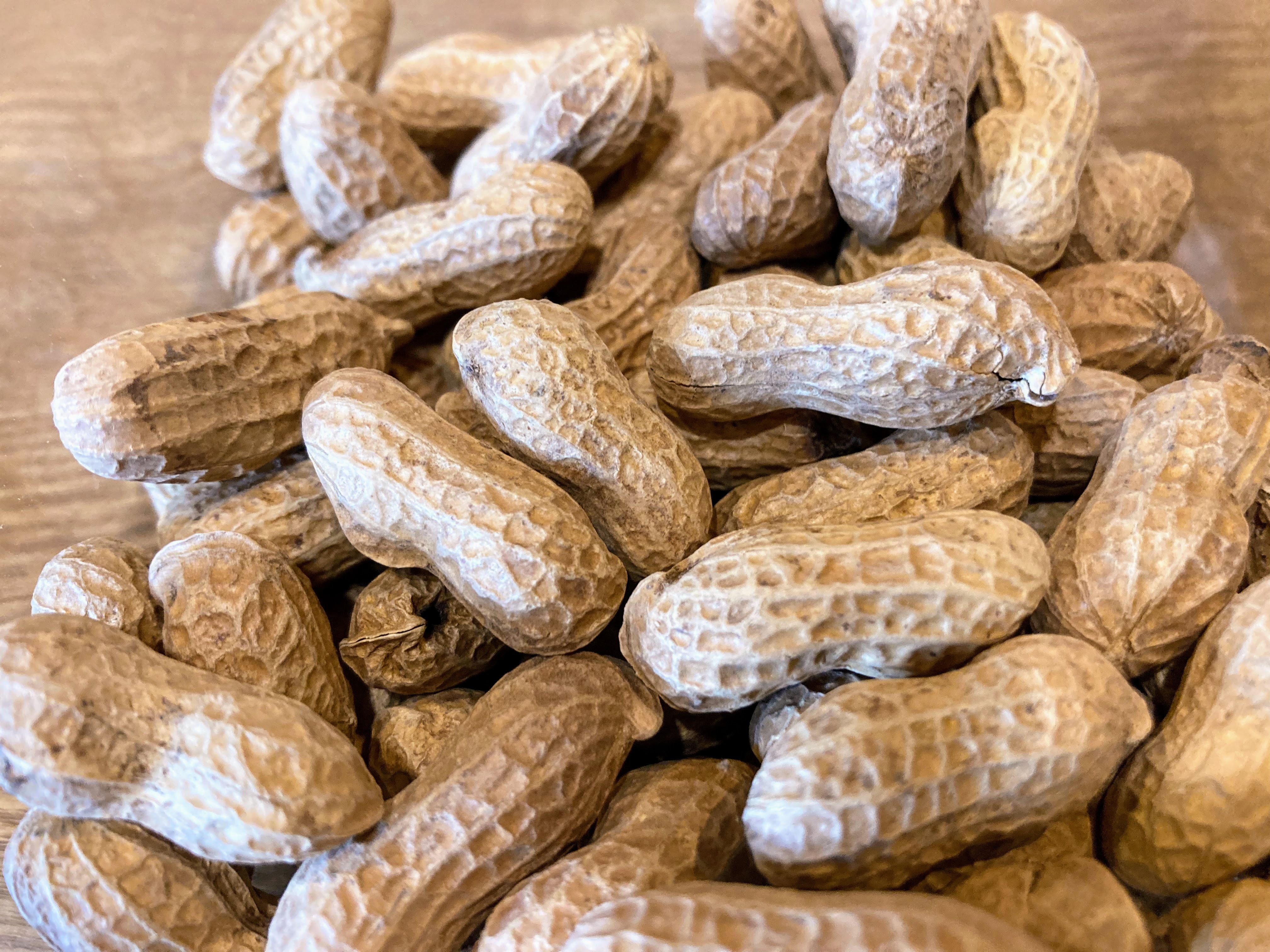 おおまさりの産直通販・お取り寄せ商品｜ポケットマルシェ｜産地直送で