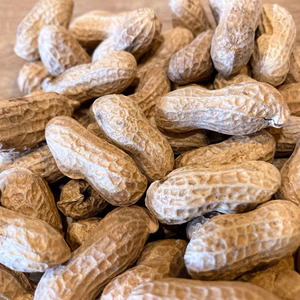 超レア物！一子相伝150年煎り落花生 自然交配　農薬・除草剤不使用250ｇ×3個