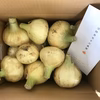 【A品】淡路島新玉ねぎ(サイズ混) 5kg