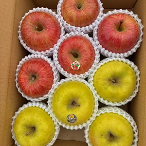 【贈答用】数量限定青森県産りんご 葉取らずふじ・ぐんま名月3kg