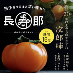 糖度16度保証　最上級品お歳暮用6玉　古い樹から採れた長生き次郎柿『長寿郎』