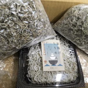 ９月３日獲れ４日だしゲリラポケマル５周年福袋日替り　これがほしい方は今