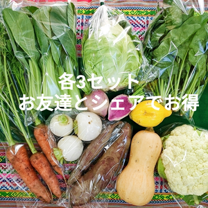 農園自慢の情熱野菜セット★7品9品11品×3セット