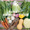 農園自慢の情熱野菜セット★7品9品11品×3セット