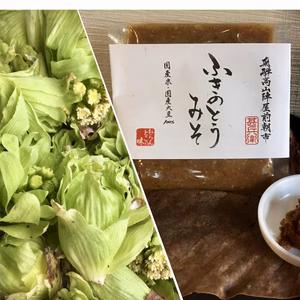 はじまりました！！ふきのとう味噌（ペースト状）3個セット！！