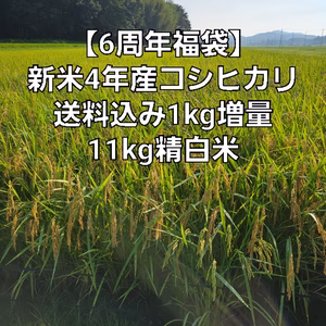 6周年福袋1kg増量コシヒカリ白米11kg