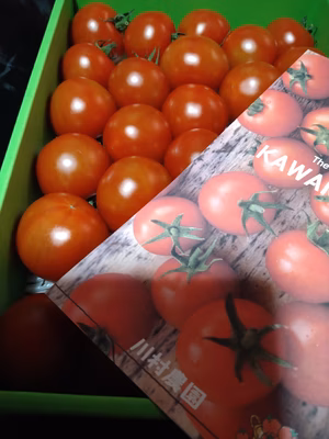 みんなの投稿の画像