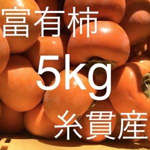数量限定‼️早生富有柿⭐️産地直送