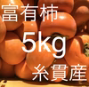 数量限定‼️早生富有柿⭐️産地直送