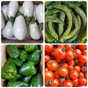 7月24日発送　夏野菜セット♪フードレスキュー
