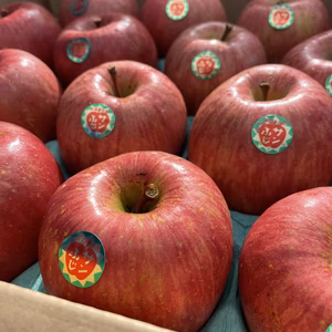 【青森県産】サンふじりんご5キロ箱16個入シール付