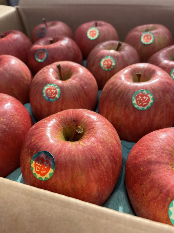 【青森県産】サンふじりんご5キロ箱16個入シール付