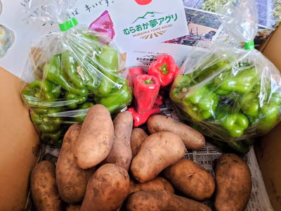 みんなの投稿の画像