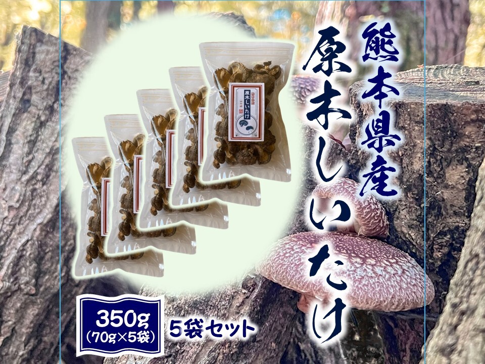 うまさ凝縮！熊本県産原木乾燥しいたけ210g～350g｜しいたけの商品