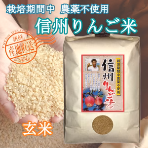 《 玄米 》 信州りんご米 農薬不使用米 こしひかり 令和3年産