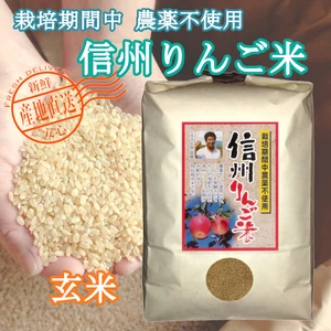 《 玄米 》 信州りんご米 農薬不使用米 こしひかり 令和3年産