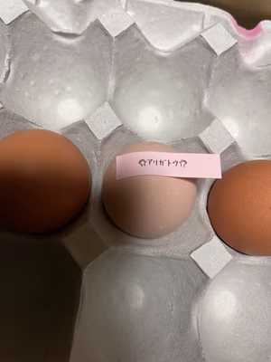 みんなの投稿の画像