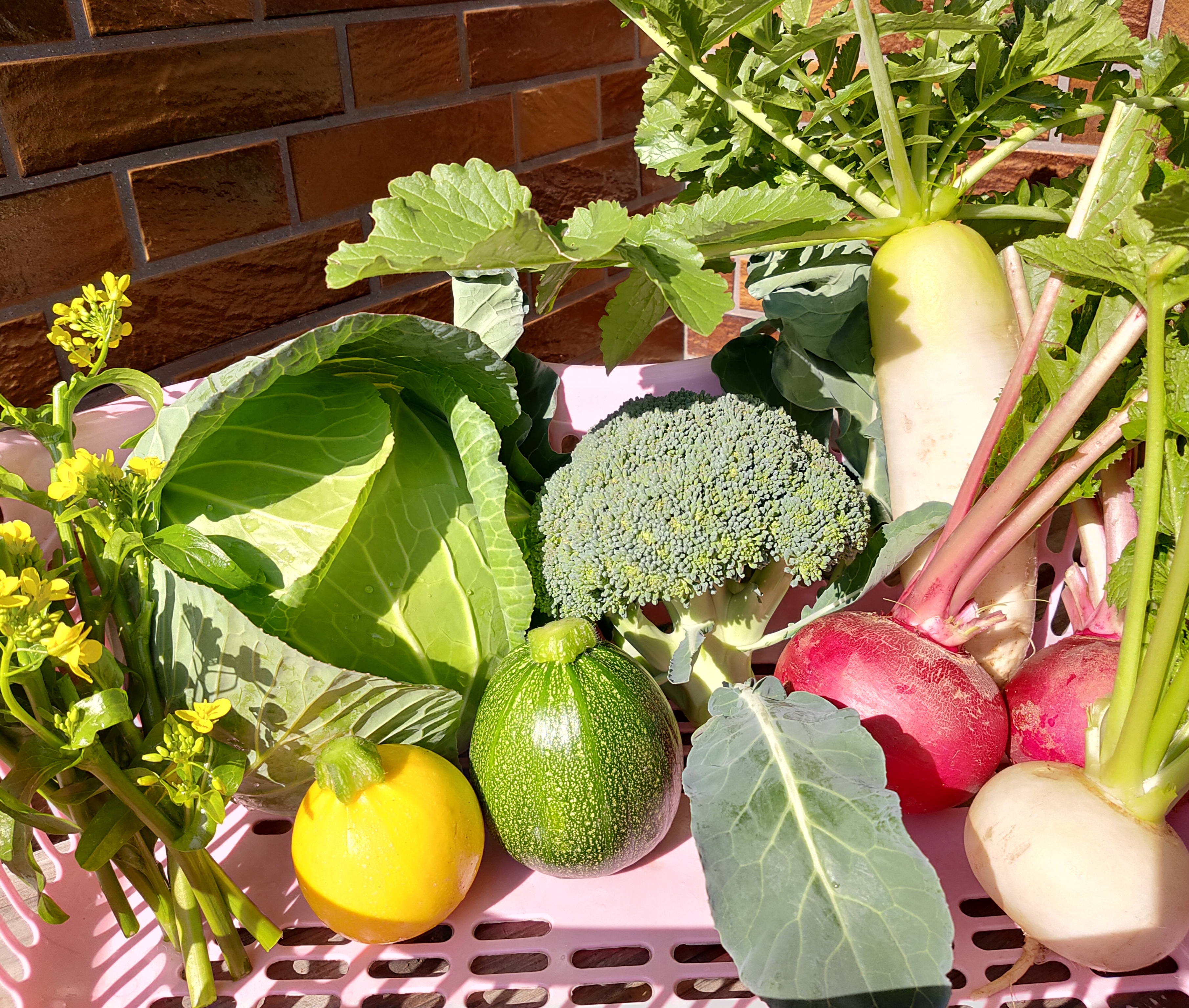 旬の新鮮野菜 笑顔あふれる野菜box 5種類以上 農家漁師から産地直送の通販 ポケットマルシェ