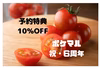 【6周年福袋】予約割10％OFF！超濃厚ミニトマト！　10月発送　農カード付き