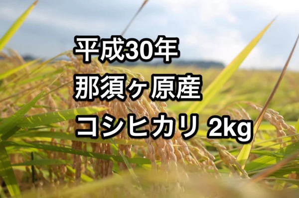 【お試し大特価！/注文後に精米します】平成30年度 栃木県那須野が原産コシヒカリ
