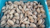 【今年出荷分 最後の１個‼】里芋 希少品種‼ 龍神クロヅル 1kg or 2kg