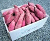 【有機JAS認証】追熟済　～organic紅はるか～　約1.9kg(60サイズ）