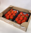 【1月の予約】初摘み!群馬のいちご《やよいひめ》粒ぞろい♪DXパック