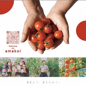 【お買い得！】さくまあまこい 3キロ　ミニトマト