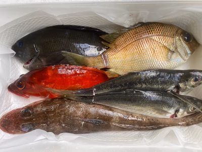 みんなの投稿の画像