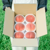 【何が届くかお楽しみ！】旬の桃 7月（白鳳系）／8月（白桃系） 2回定期便☆冷蔵