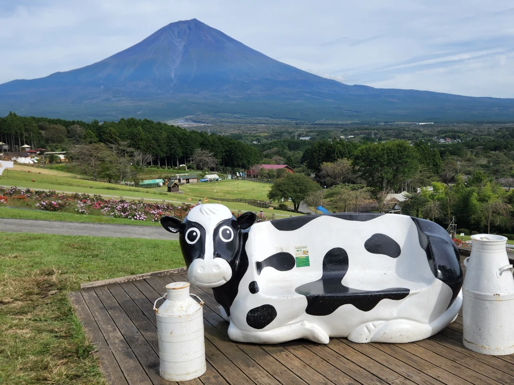 【12月予約お歳暮】とにかく甘い【ジューシー】全国10件のみ栽培の幻品種400ｇ