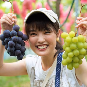 【濃旨！粒大！】種なし 伊万里ピオーネ＆シャインマスカット 各1房セット