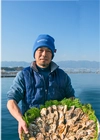 広島牡蠣老舗の味! 殻付き牡蠣15個[生食用]