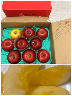 みんなの投稿の画像