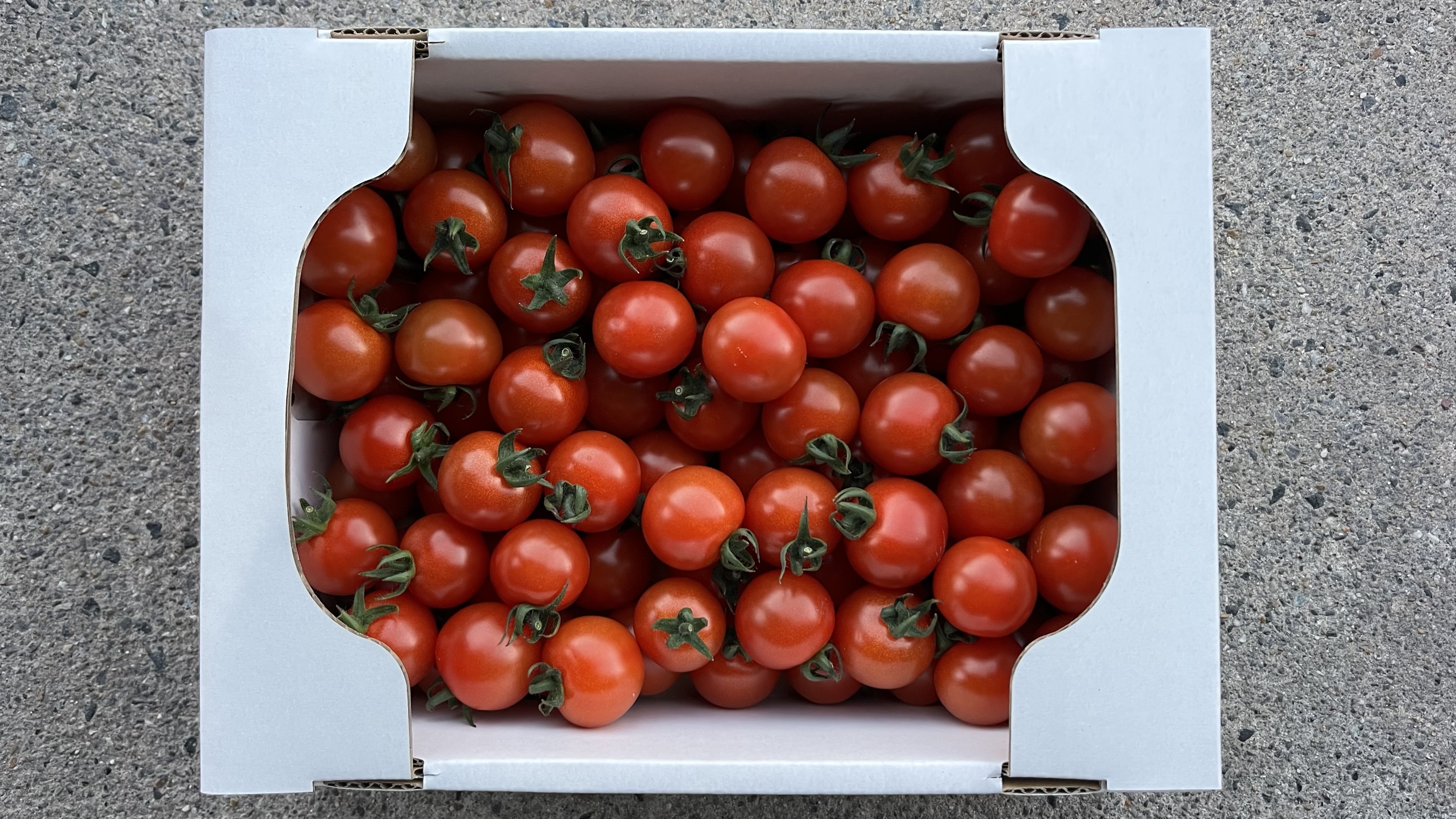 ミニトマトの産直通販・お取り寄せ商品｜ポケットマルシェ｜産地直送で
