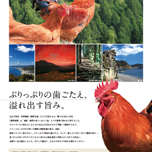 当日発送。幻の地鶏【熊野地鶏】日本で2業者のみの生産