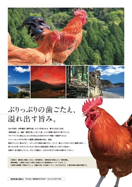 2羽セット　幻の地鶏【熊野地鶏】日本で2業者のみの生産