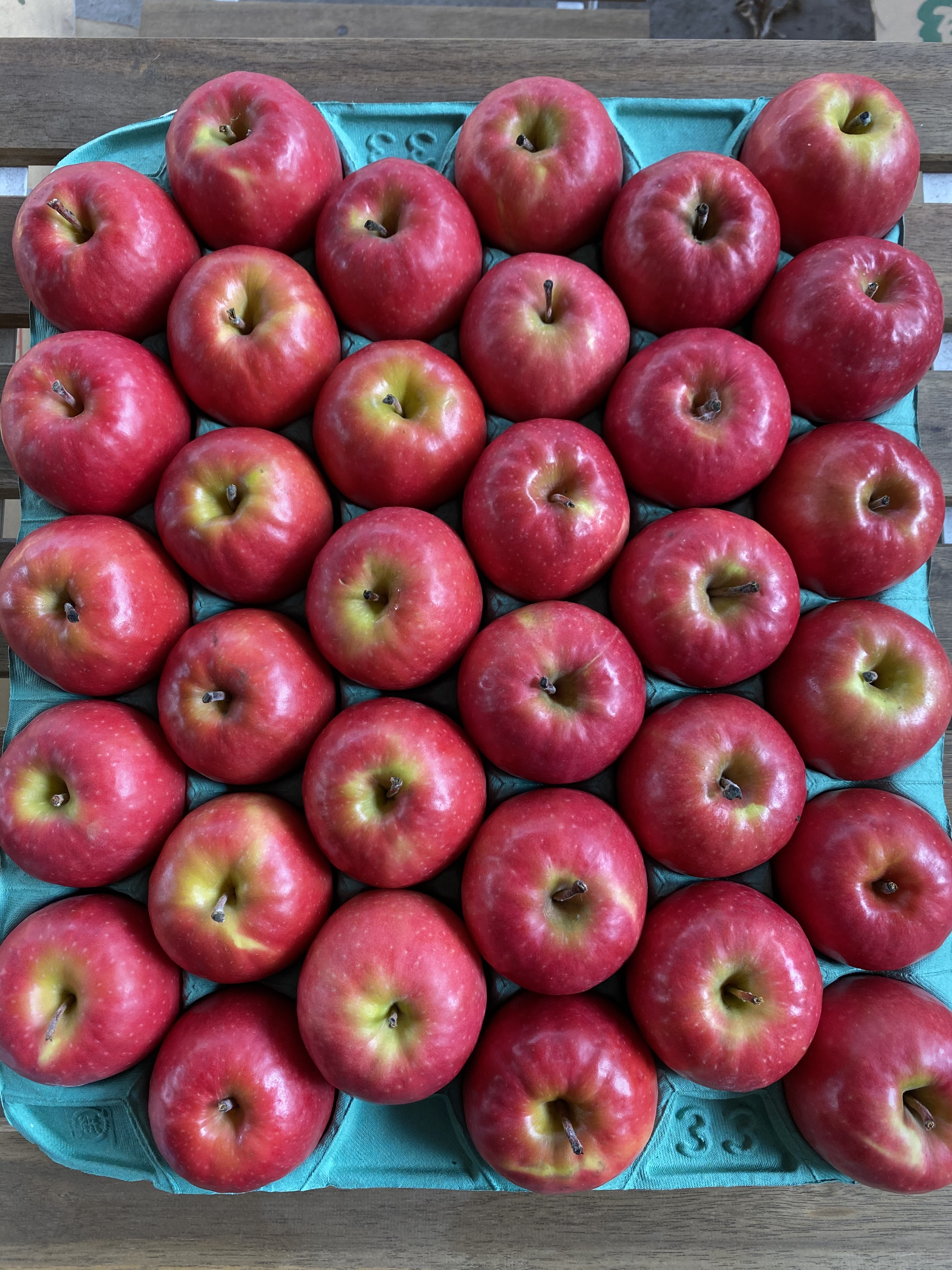 希少品種 小粒で甘酸っぱいりんご ピンクレディーキッズ 農家漁師から産地直送の通販 ポケットマルシェ